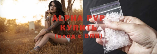 ALPHA PVP Иннополис