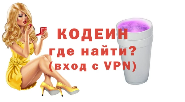 гидра Инта