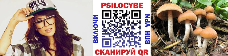Галлюциногенные грибы Magic Shrooms  Краснослободск 